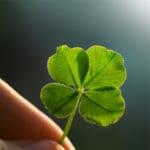 Four Leaf Clover